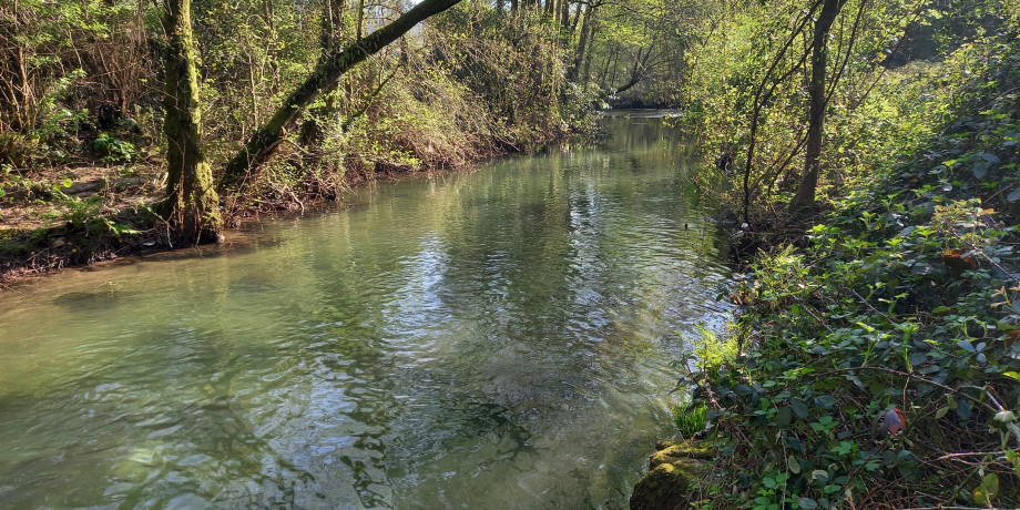 quinta do rio