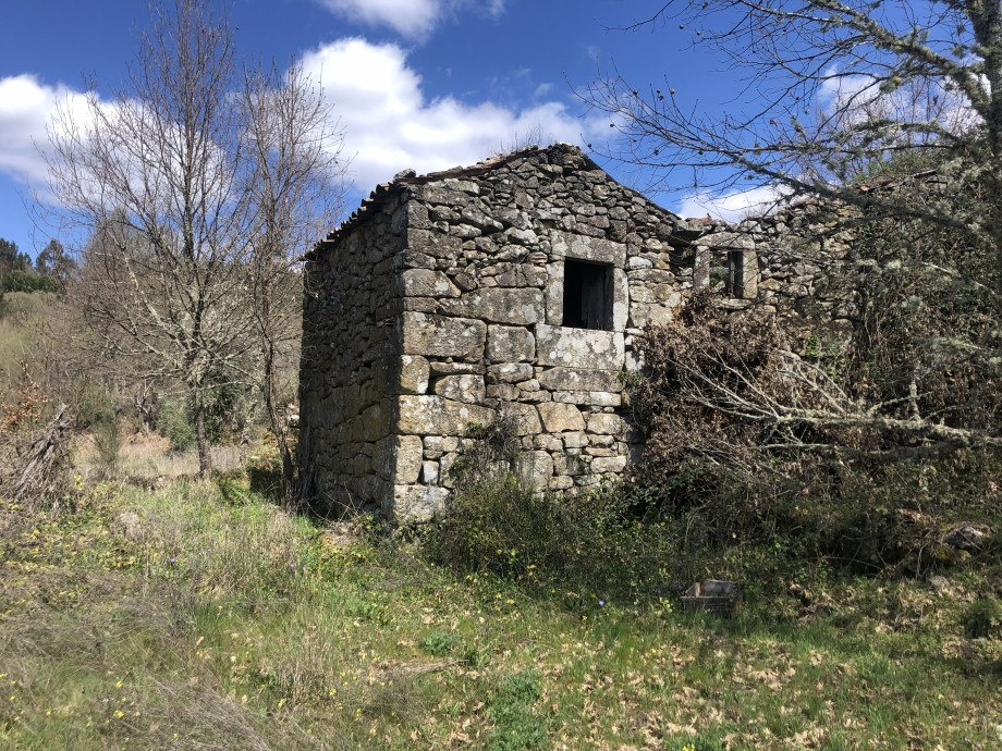 quinta do neves